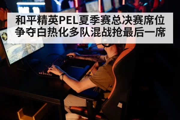 和平精英PEL夏季赛总决赛席位争夺白热化多队混战抢最后一席